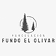 Logo Olivar